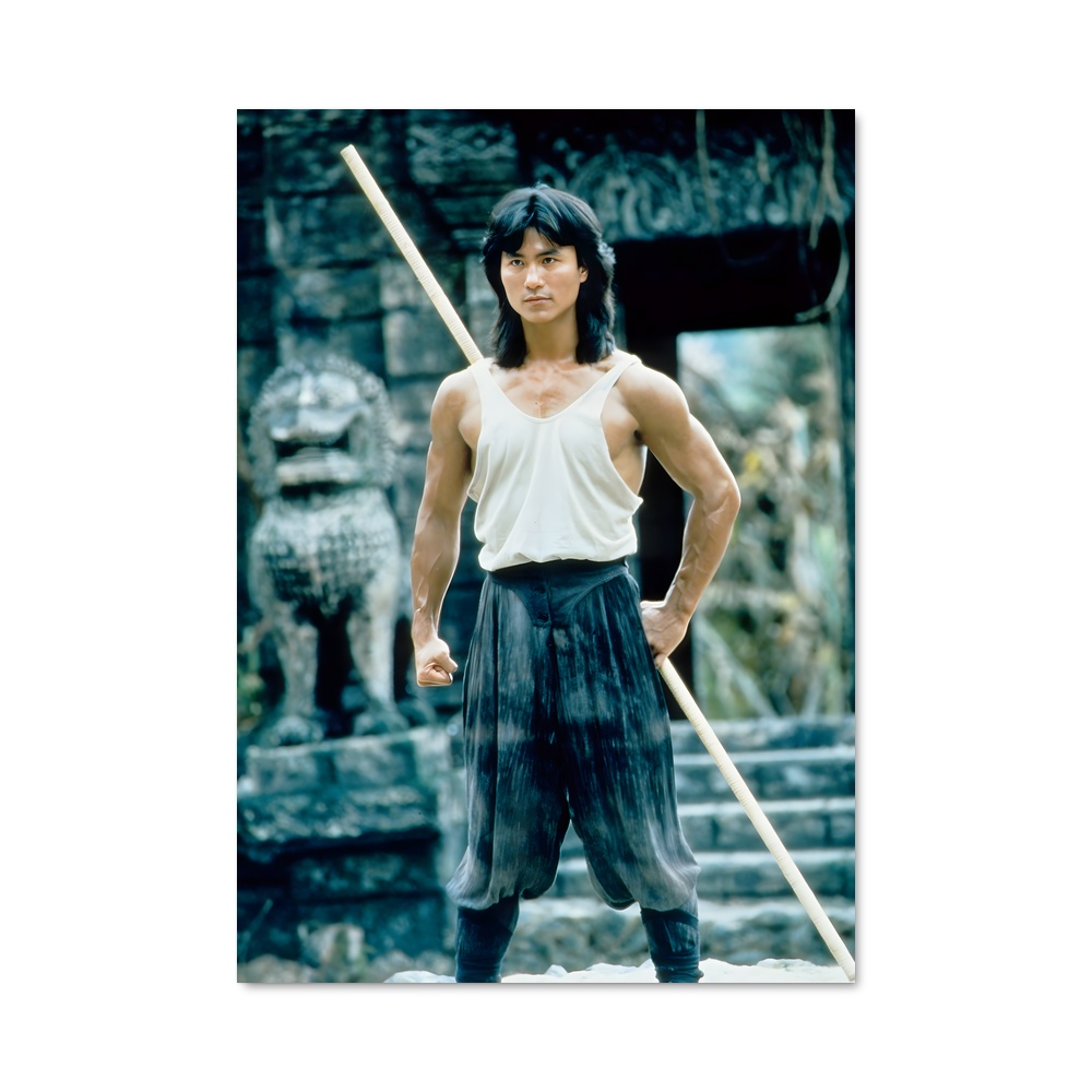 Poster Maître des Arts Martiaux – affiche Mortal kombat